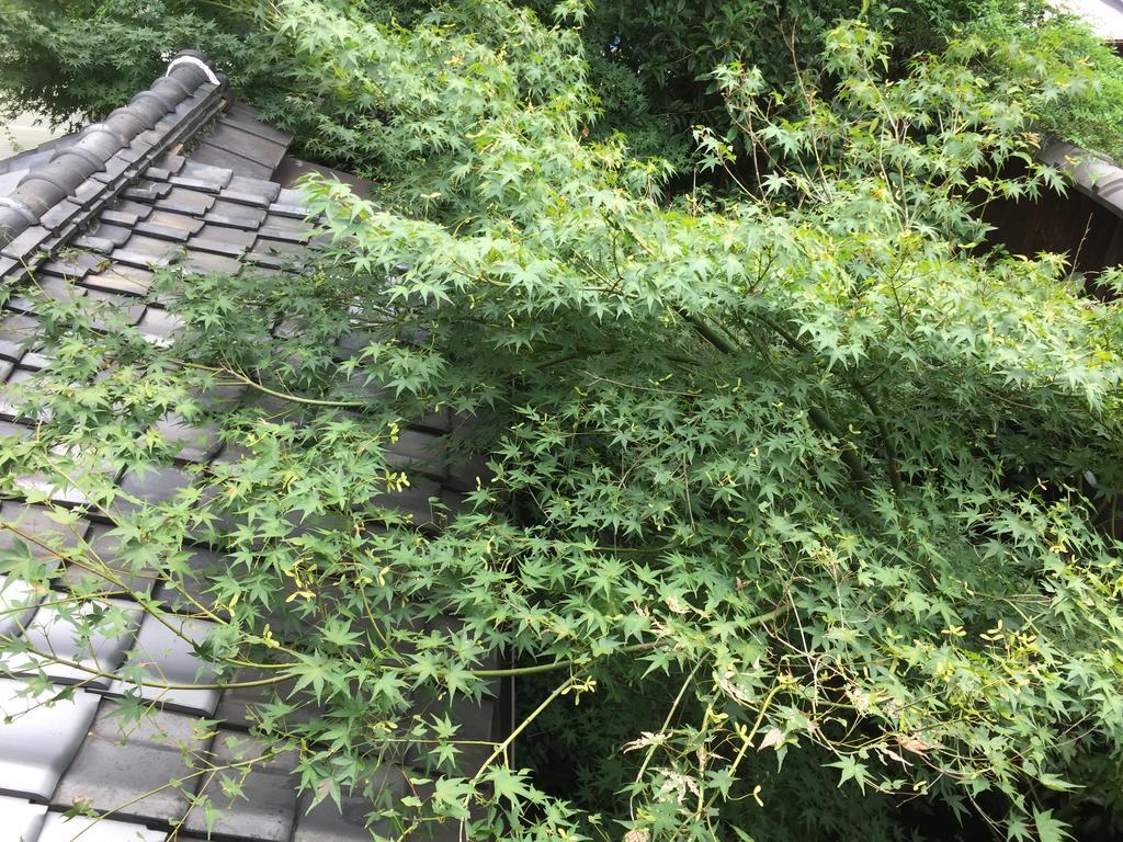 Gallery Nozawa Inn Kioto Zewnętrze zdjęcie