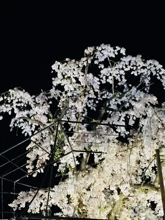 Gallery Nozawa Inn Kioto Zewnętrze zdjęcie